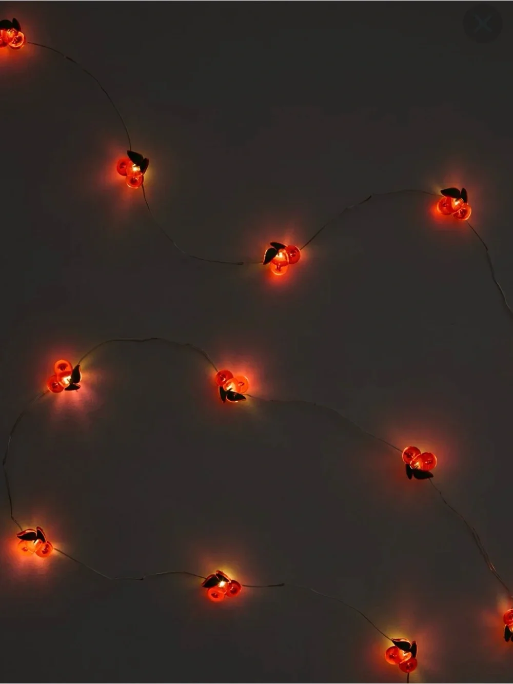 FOUR Aerie Brooklyn Lighting Company Cherry LED String Lights Bendable Wire